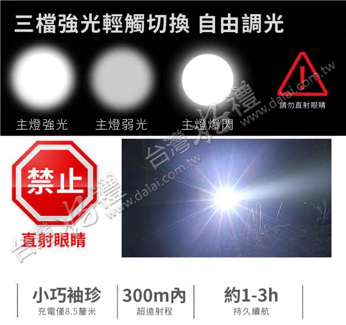 2022060617574727T2